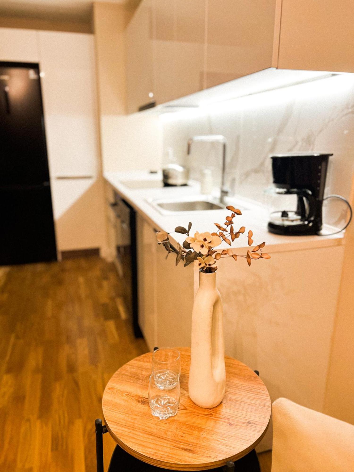 180° View Apartment In Diamond Building スコピエ エクステリア 写真